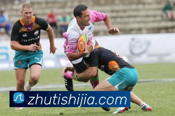 开云app在线入口品牌故事